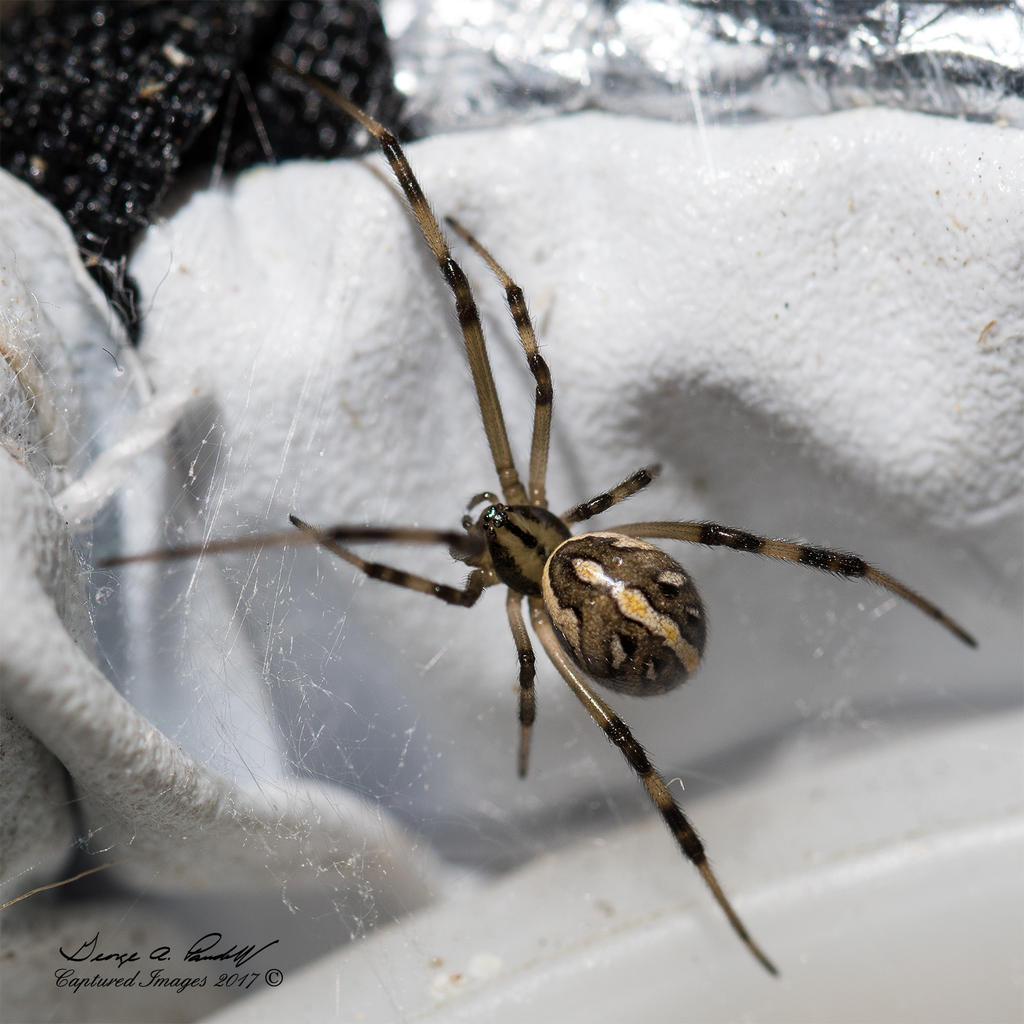 W_DSC_2914.jpg