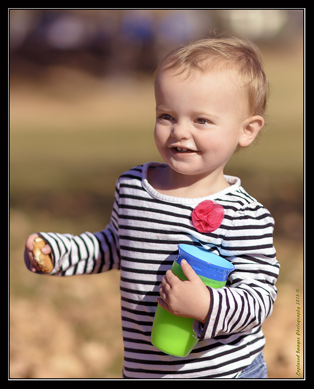 W_DSC_3095_V2.jpg