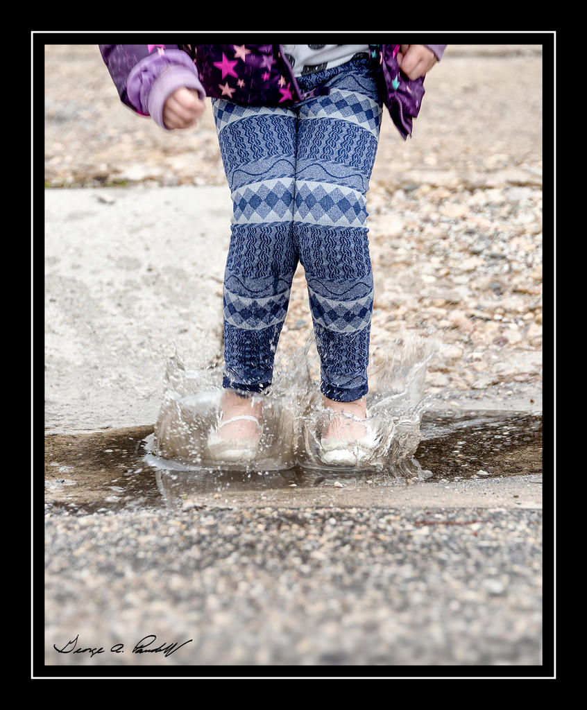 W_DSC_3173.jpg