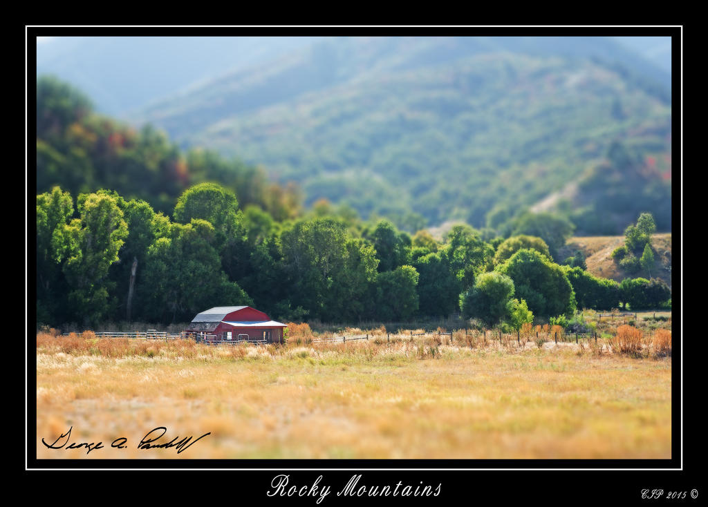 W_DSC_3577.jpg