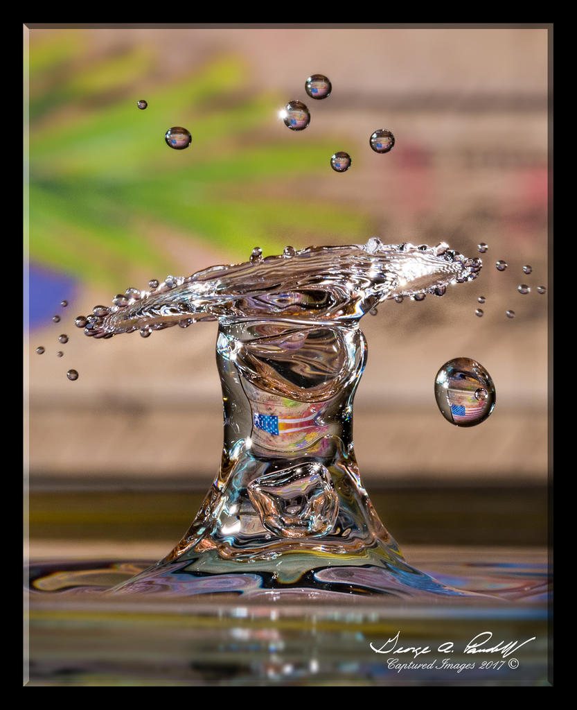W_DSC_3941.jpg