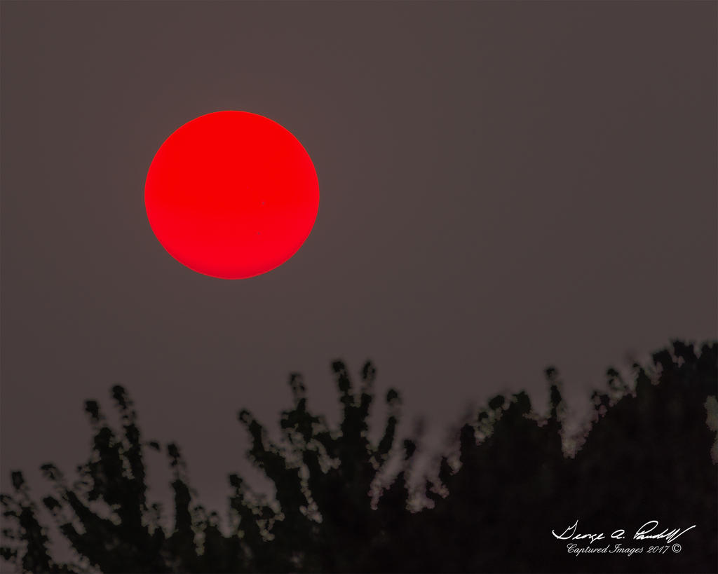 W_DSC_4156.jpg