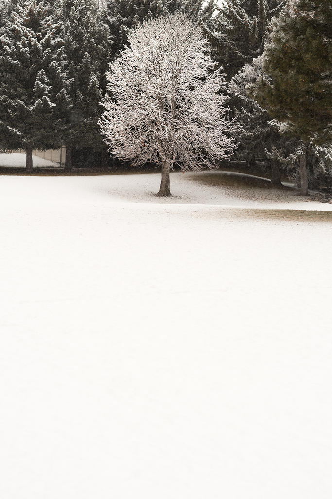 W_DSC_4363.jpg