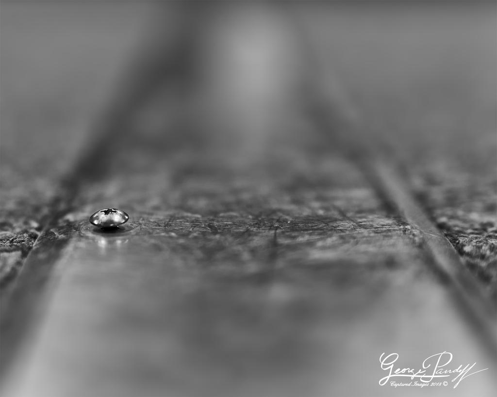 W_DSC_4577.jpg