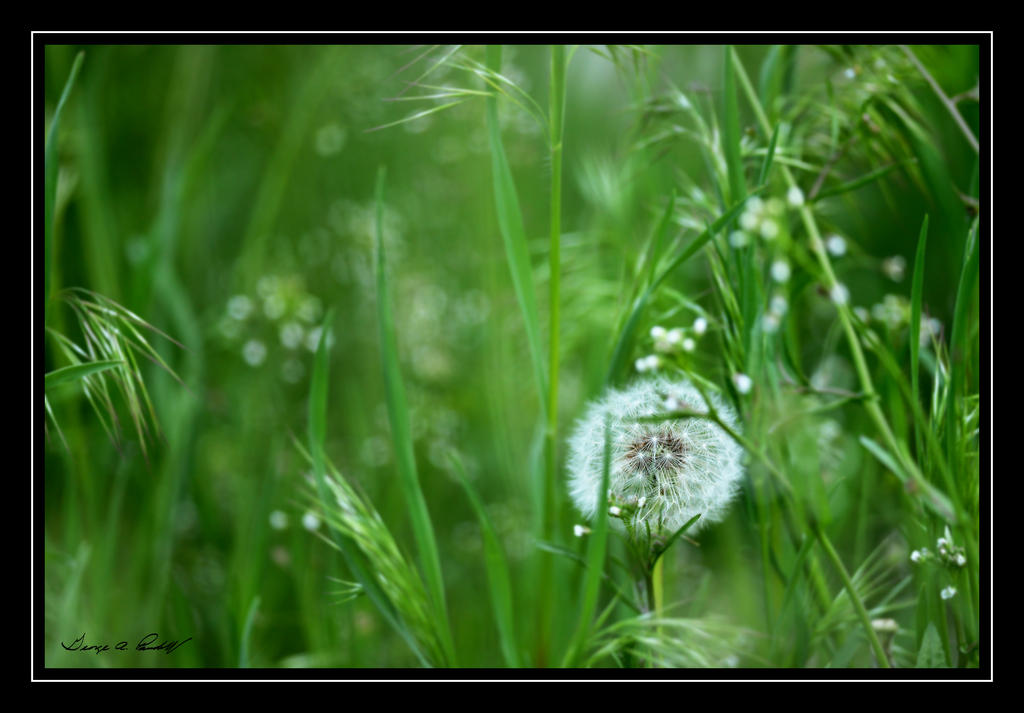 W_DSC_4658.jpg