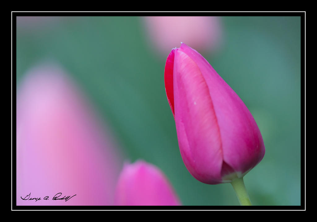 W_DSC_4673.jpg