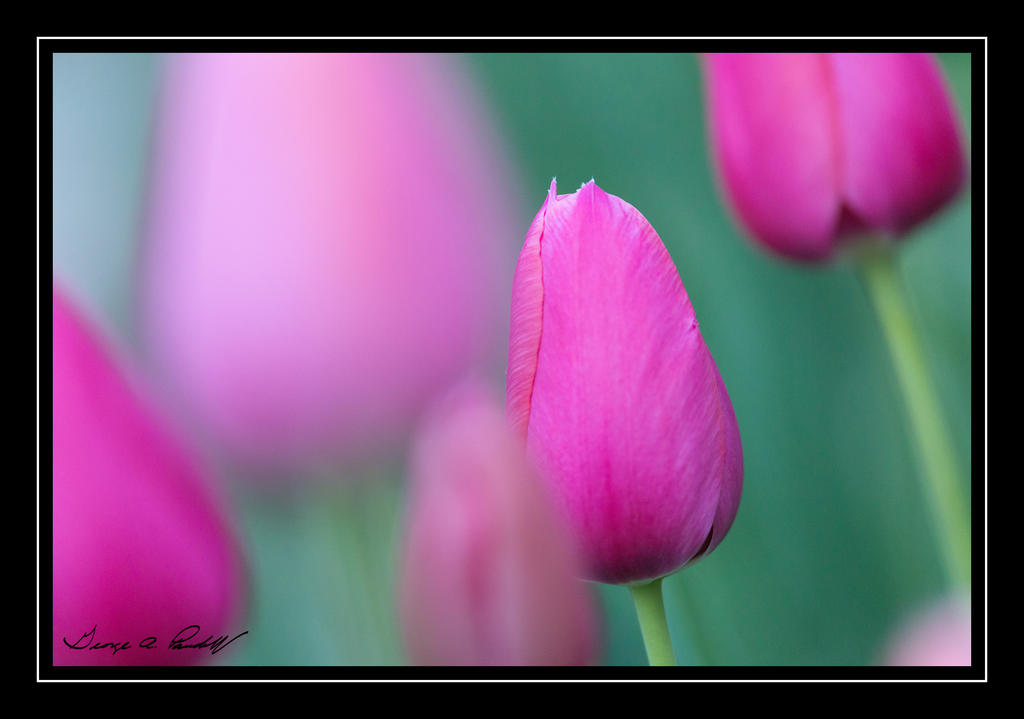 W_DSC_4676.jpg