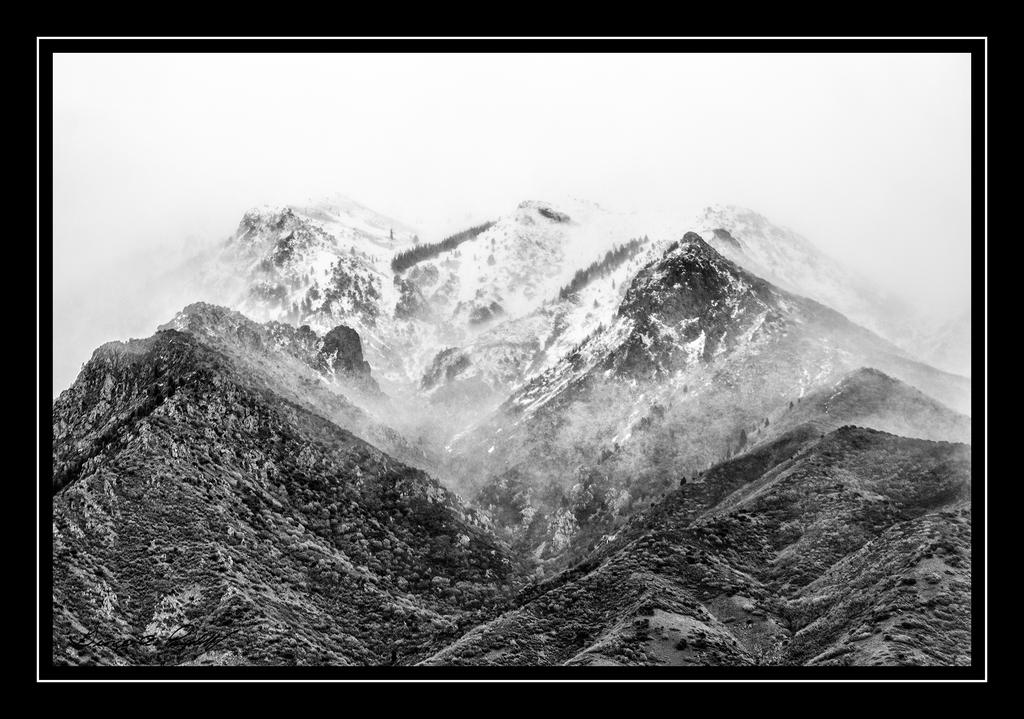 W_DSC_4686.jpg