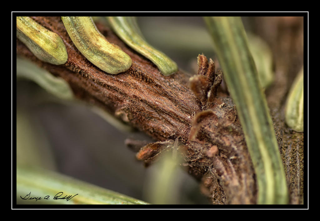 W_DSC_4916.jpg
