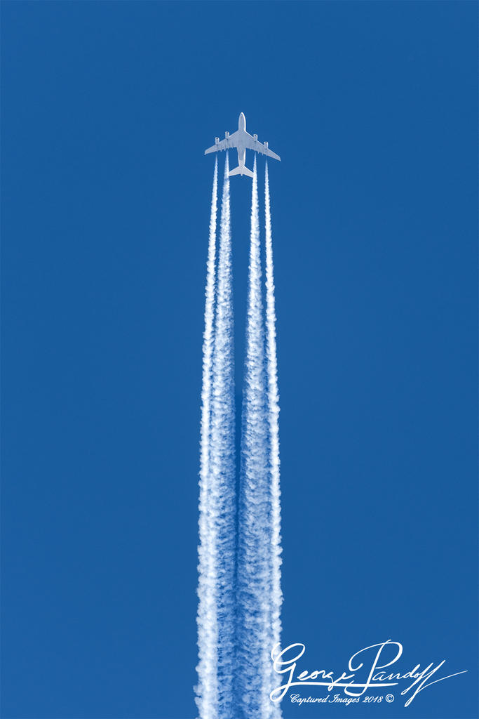 W_DSC_4968.jpg