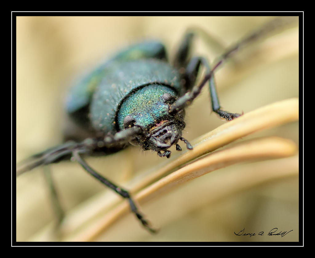 W_DSC_4970.jpg