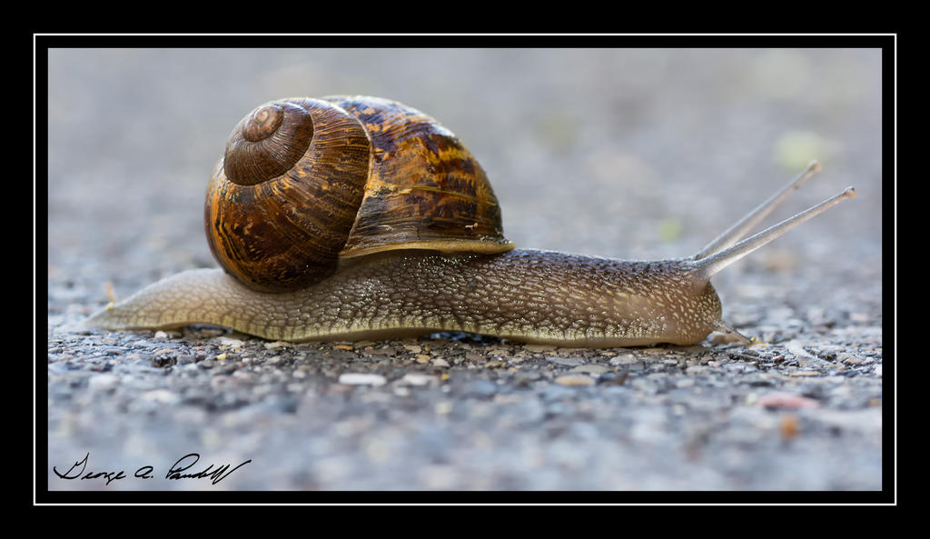 W_DSC_5104.jpg