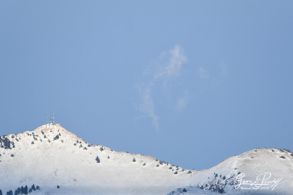 W_DSC_5104.jpg