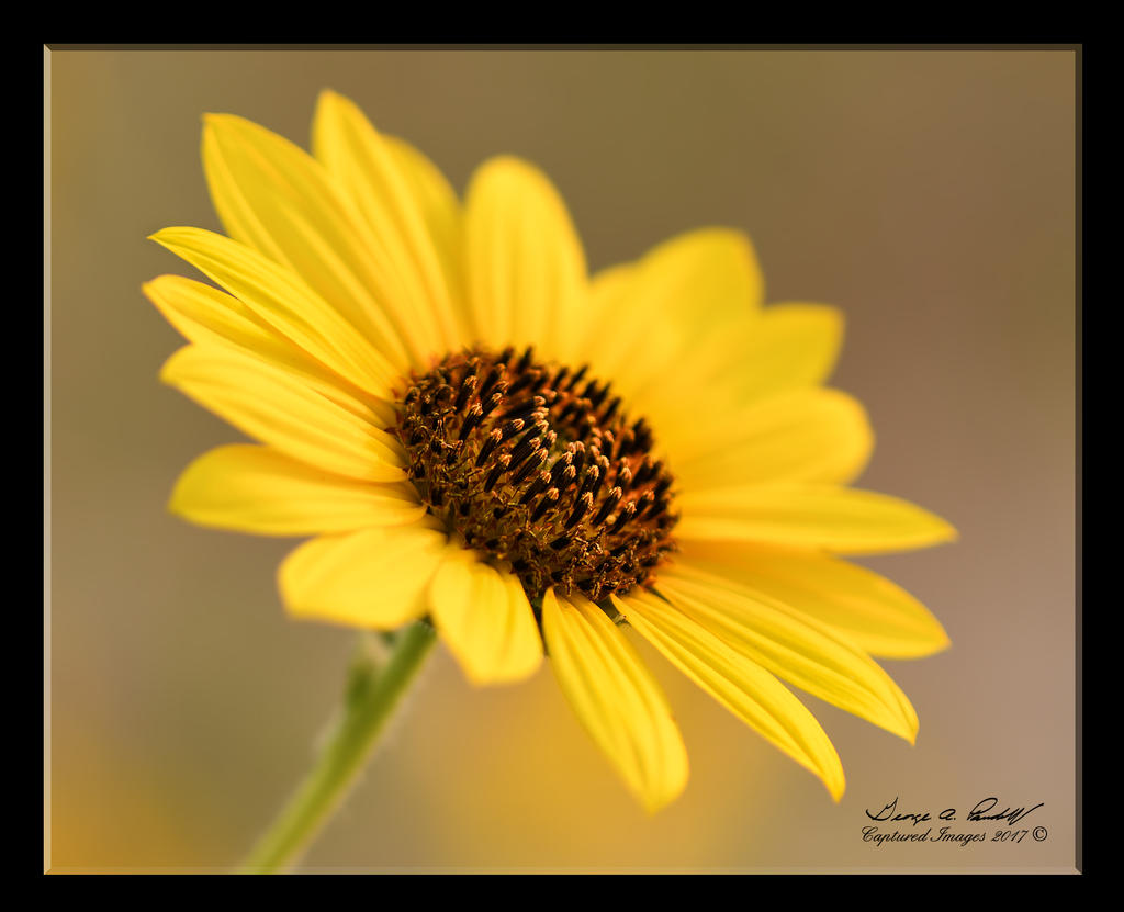 W_DSC_5109.jpg