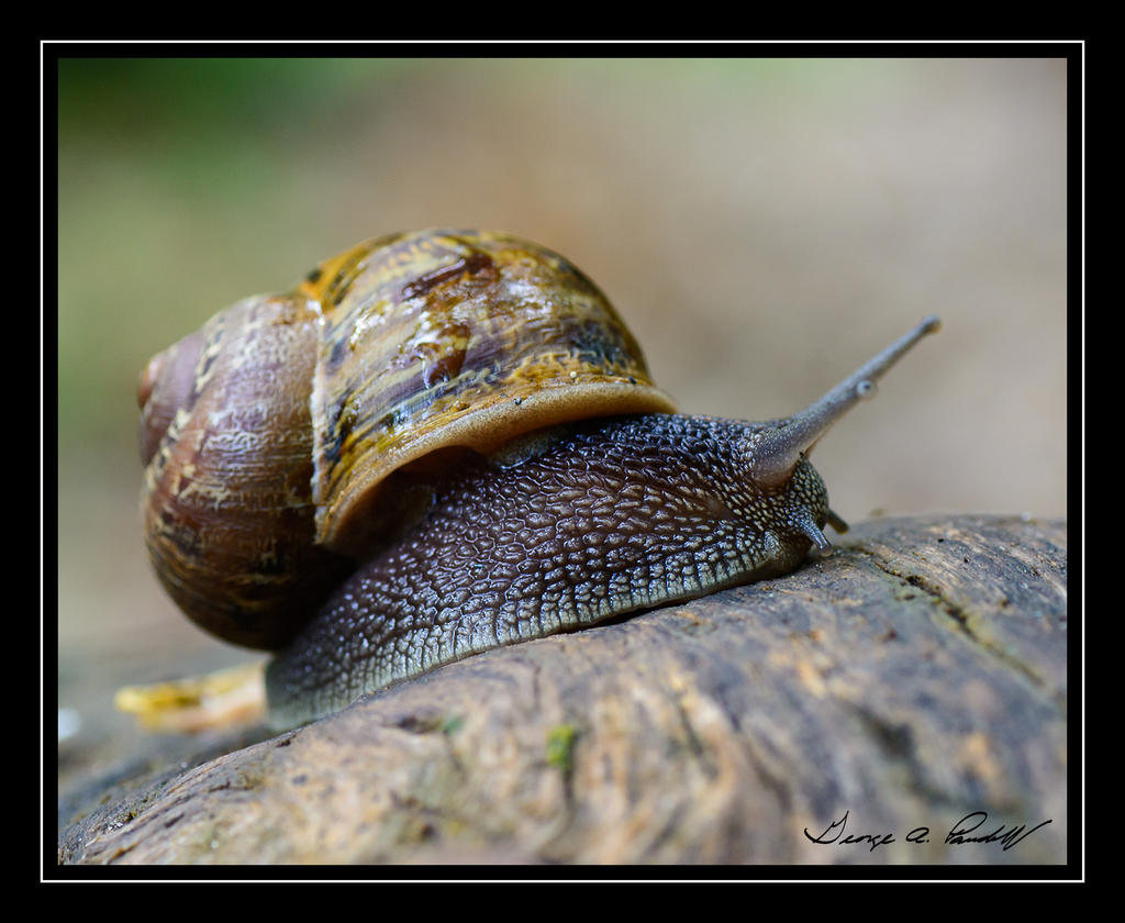 W_DSC_5117.jpg