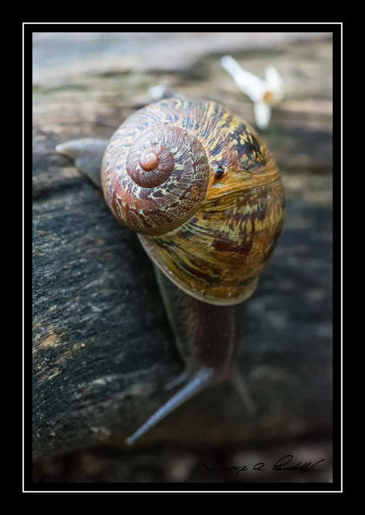 W_DSC_5134.jpg