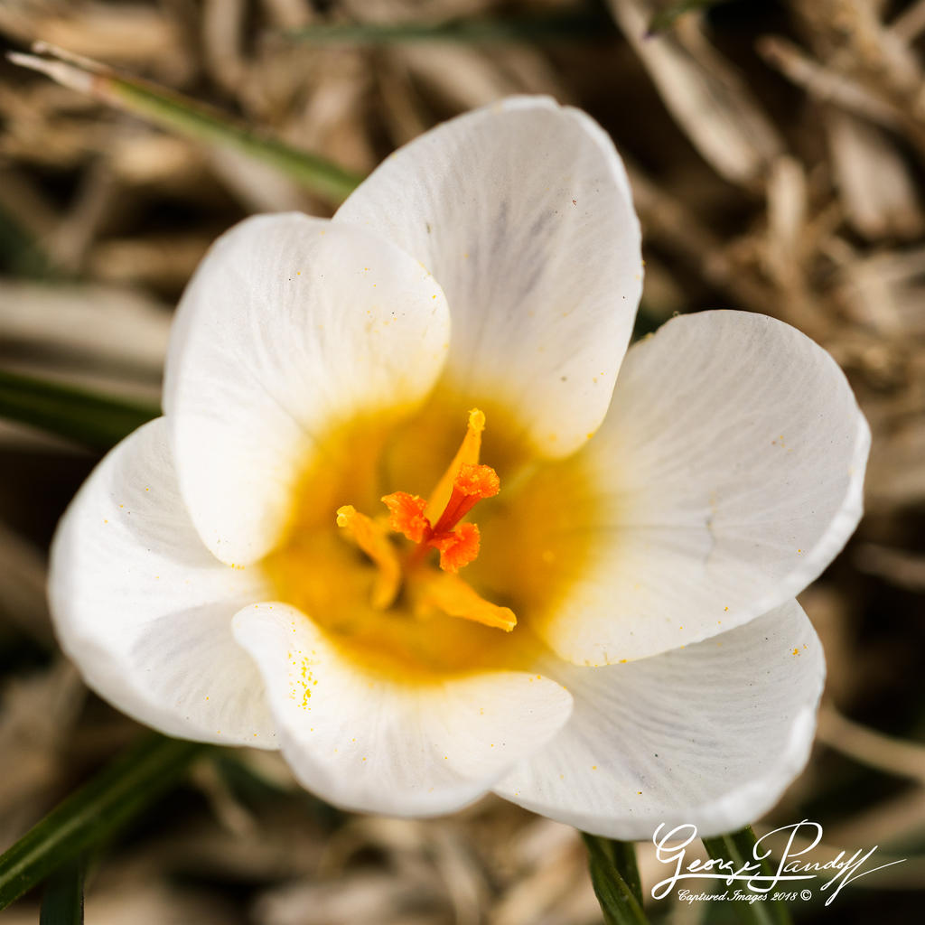 W_DSC_5144.jpg