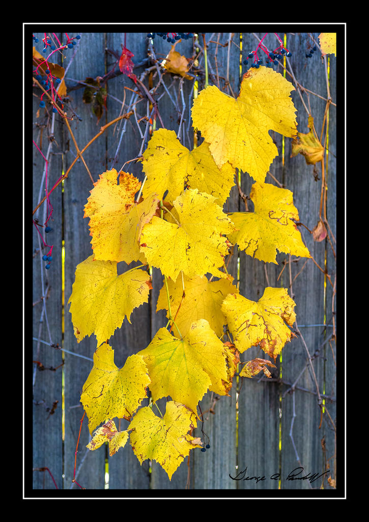 W_DSC_5277.jpg
