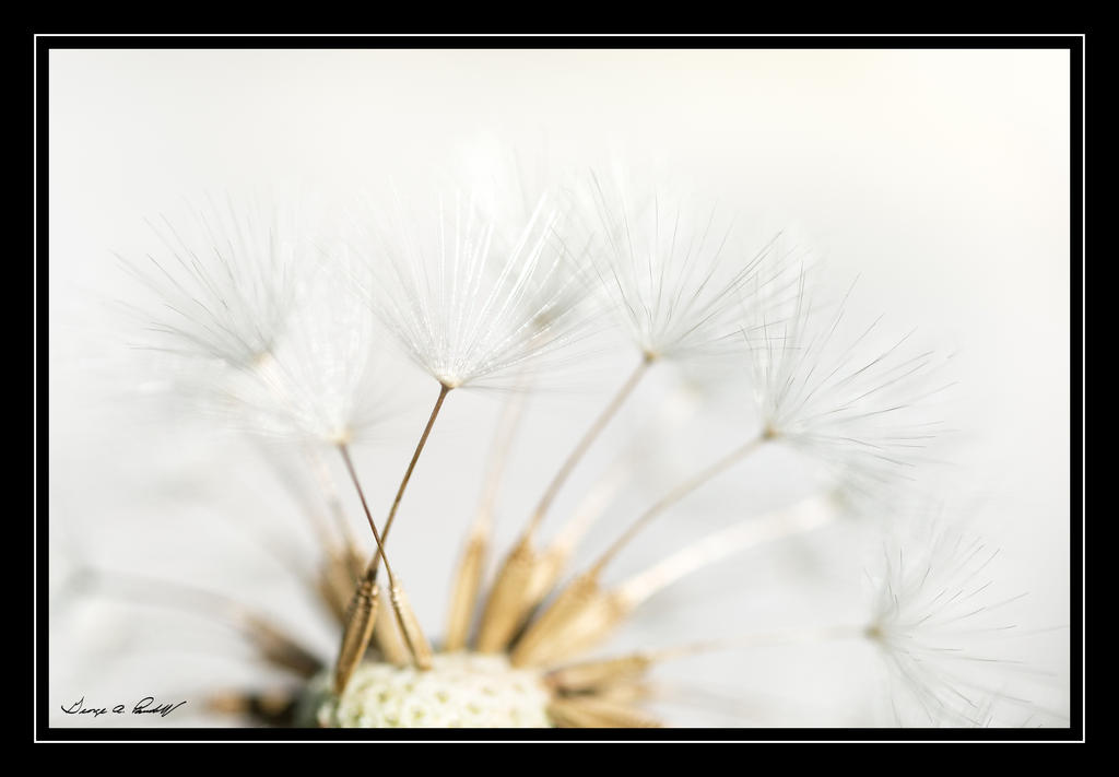 W_DSC_5330.jpg