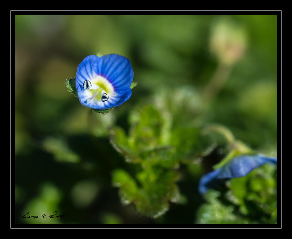 W_DSC_5353.jpg