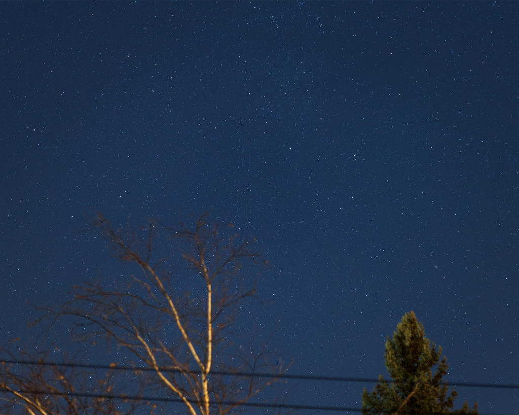 W_DSC_5365.jpg