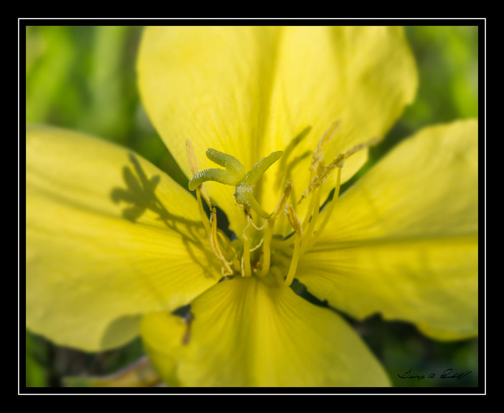 W_DSC_6303.jpg