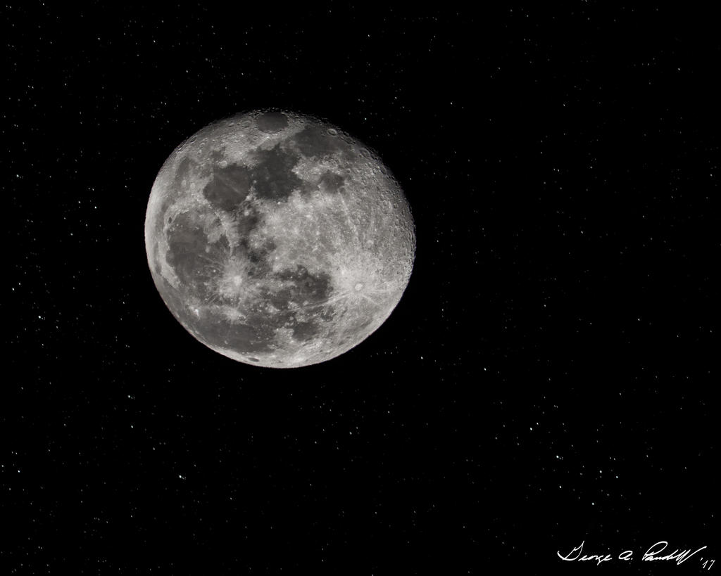 W_DSC_6695.jpg