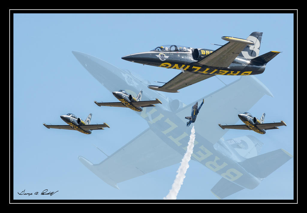 W_DSC_7146.jpg