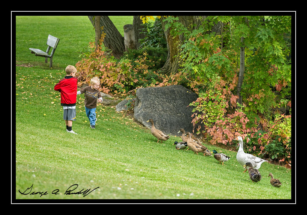 W_DSC_7155.jpg