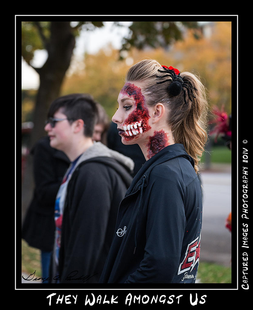 W_DSC_7951.jpg