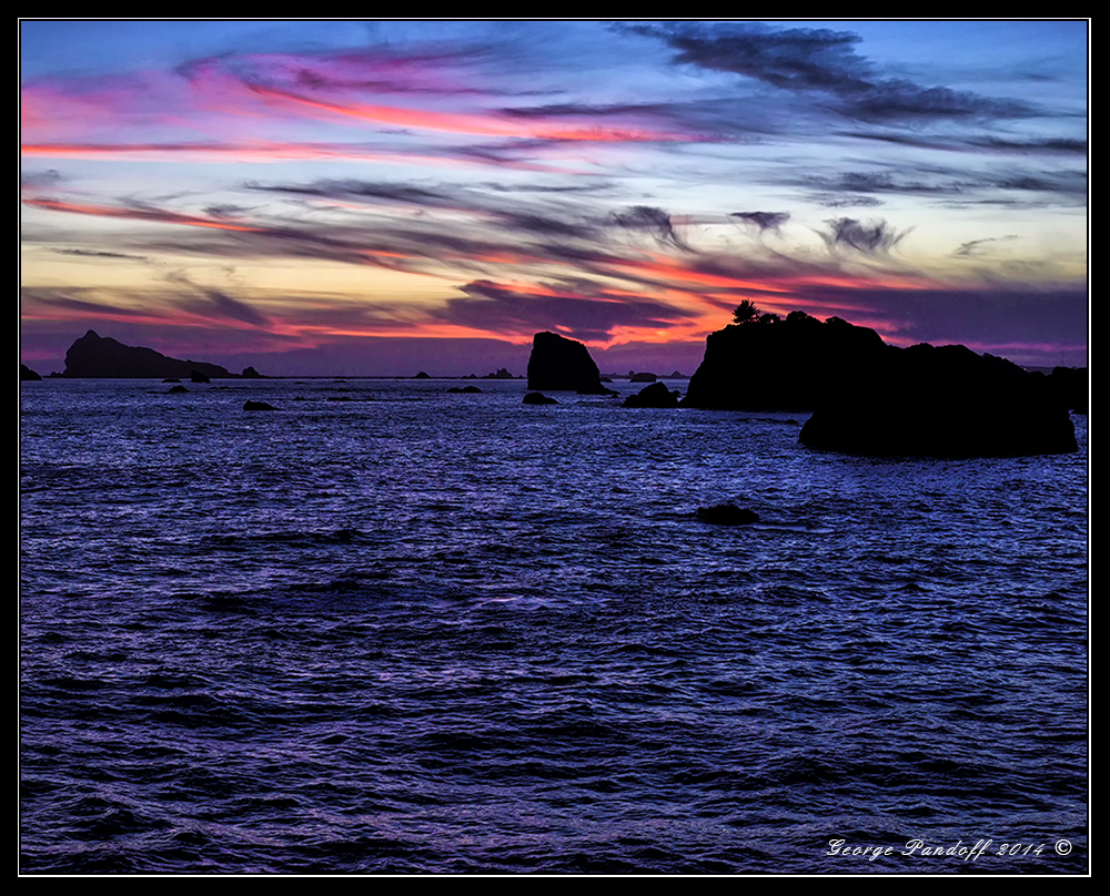 W_DSC_8216_8x10.jpg