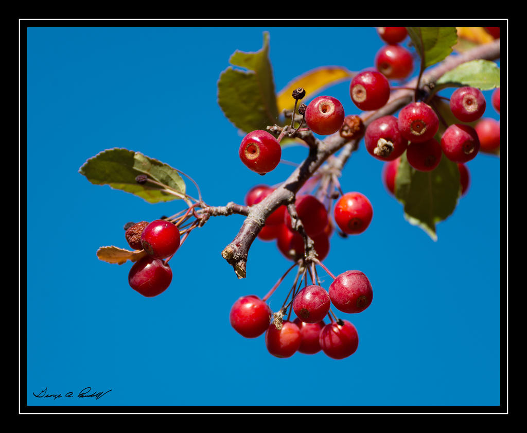 W_DSC_8557.jpg