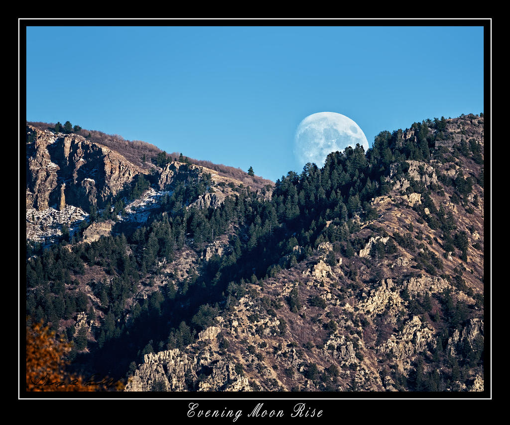 W_DSC_8758.jpg