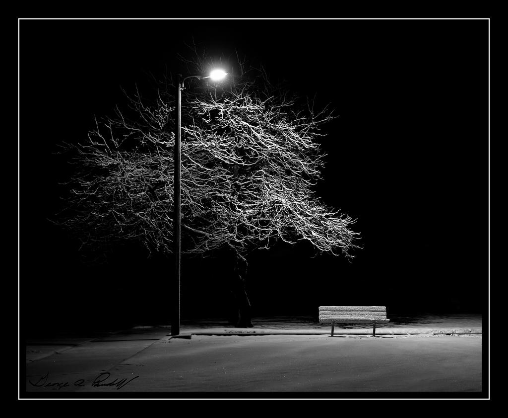 W_DSC_8895.jpg
