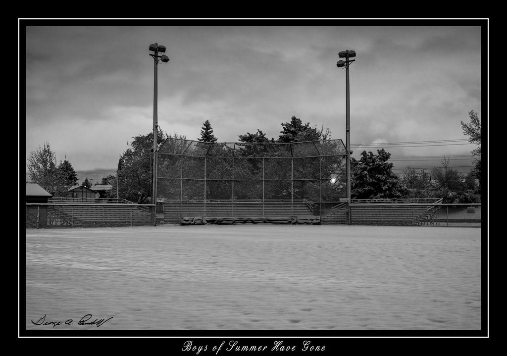 W_DSC_8919.jpg