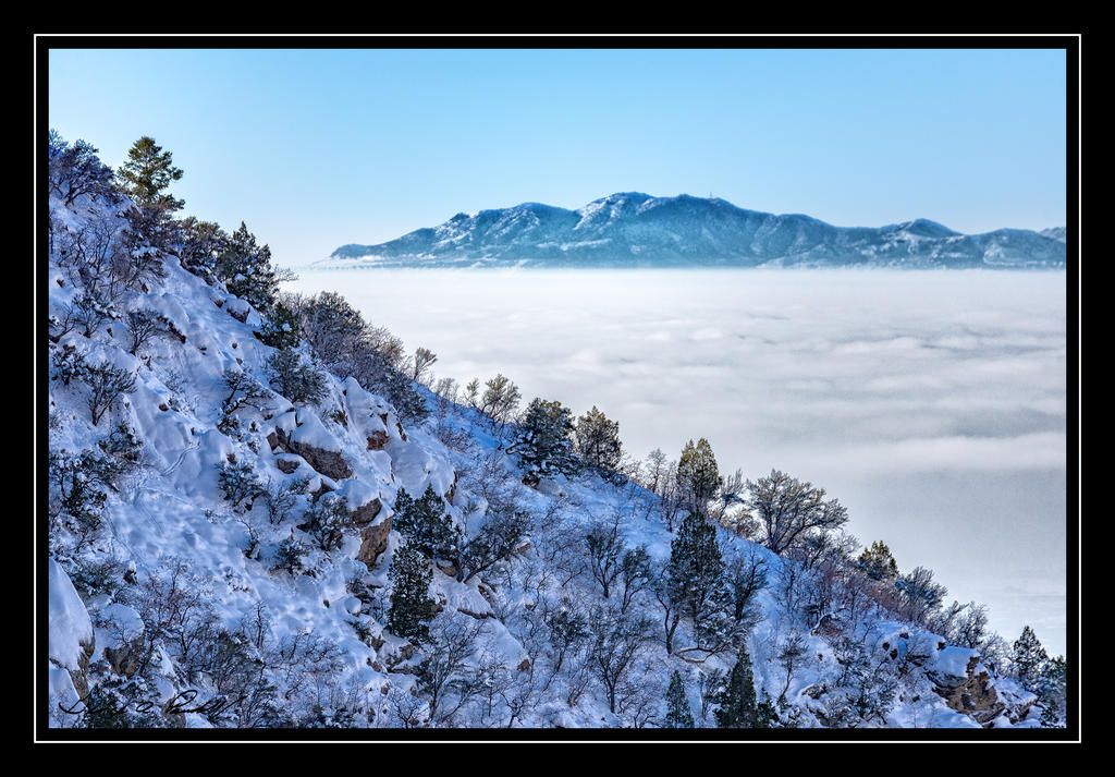 W_DSC_8989.jpg