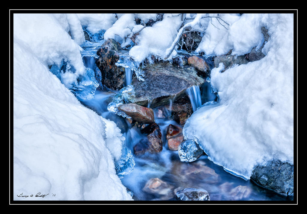 W_DSC_9064.jpg