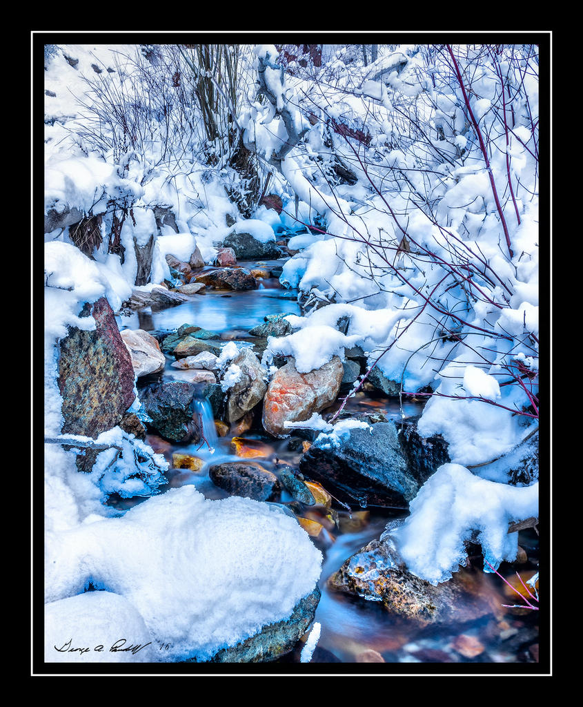 W_DSC_9077.jpg