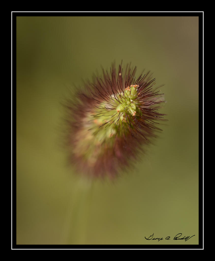 W_DSC_9123.jpg