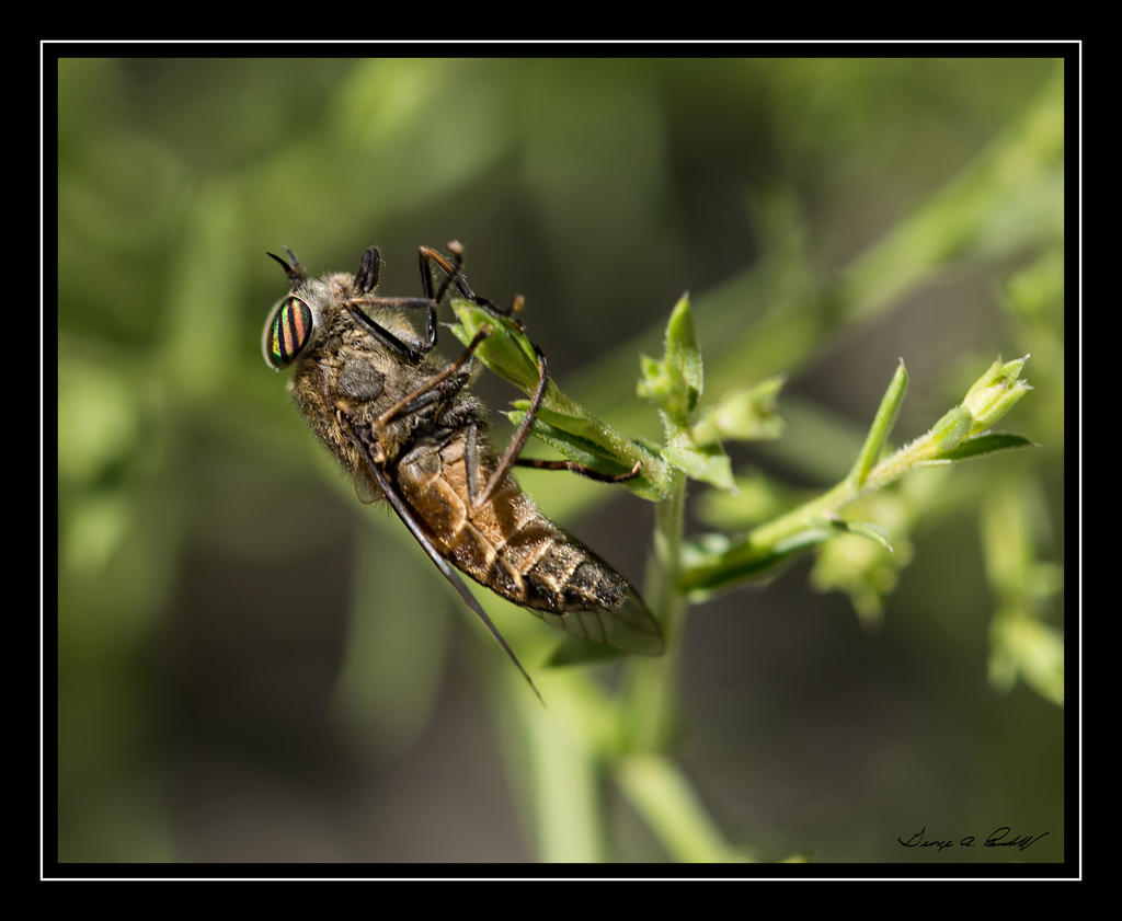 W_DSC_9125.jpg