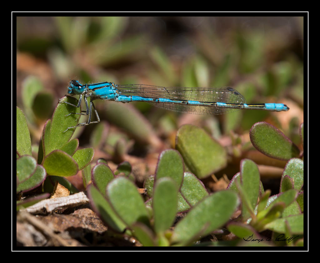 W_DSC_9136.jpg