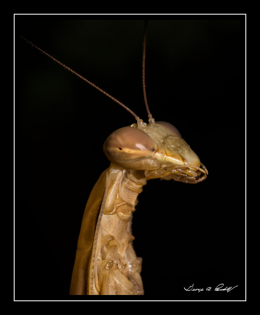W_DSC_9227.jpg