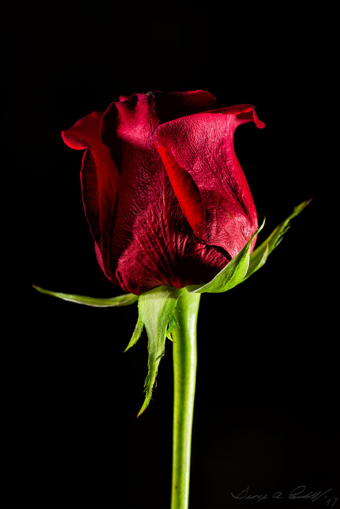 W_DSC_9269.jpg