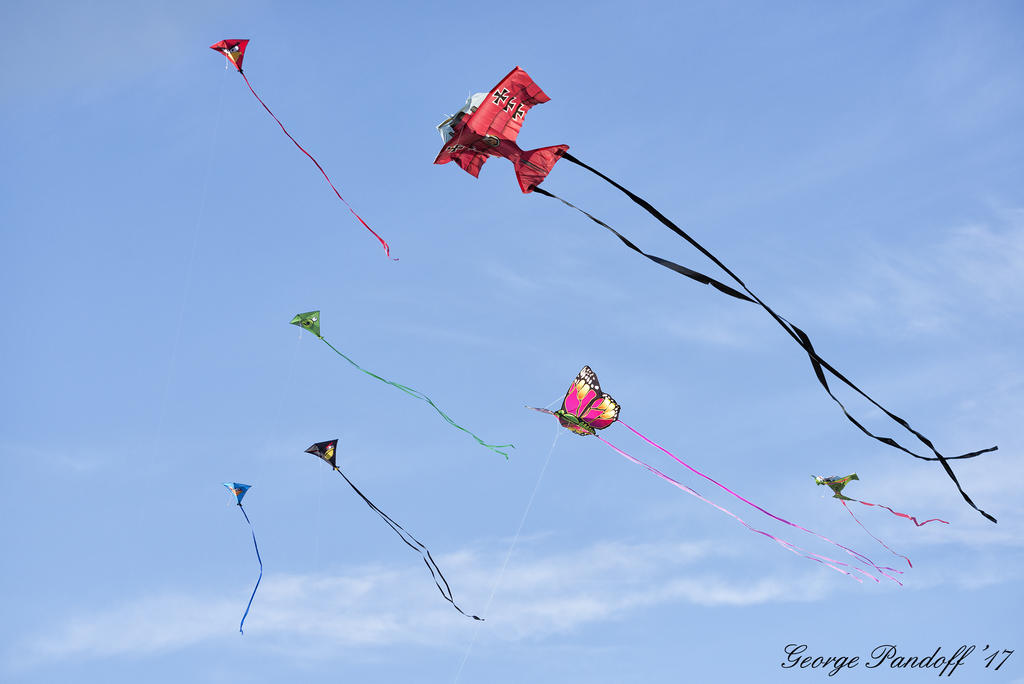 W_DSC_9384.jpg