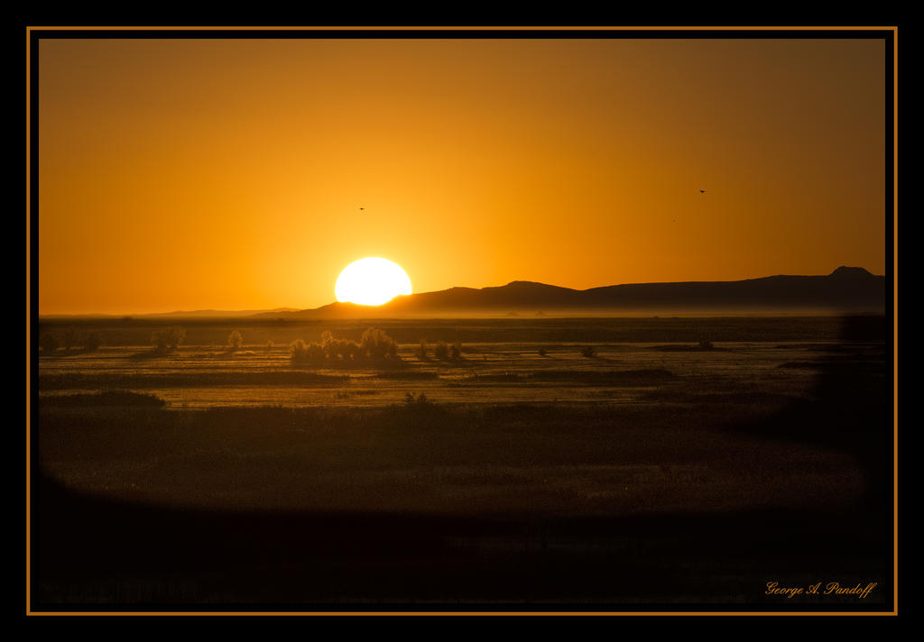 W_DSC_9888.jpg