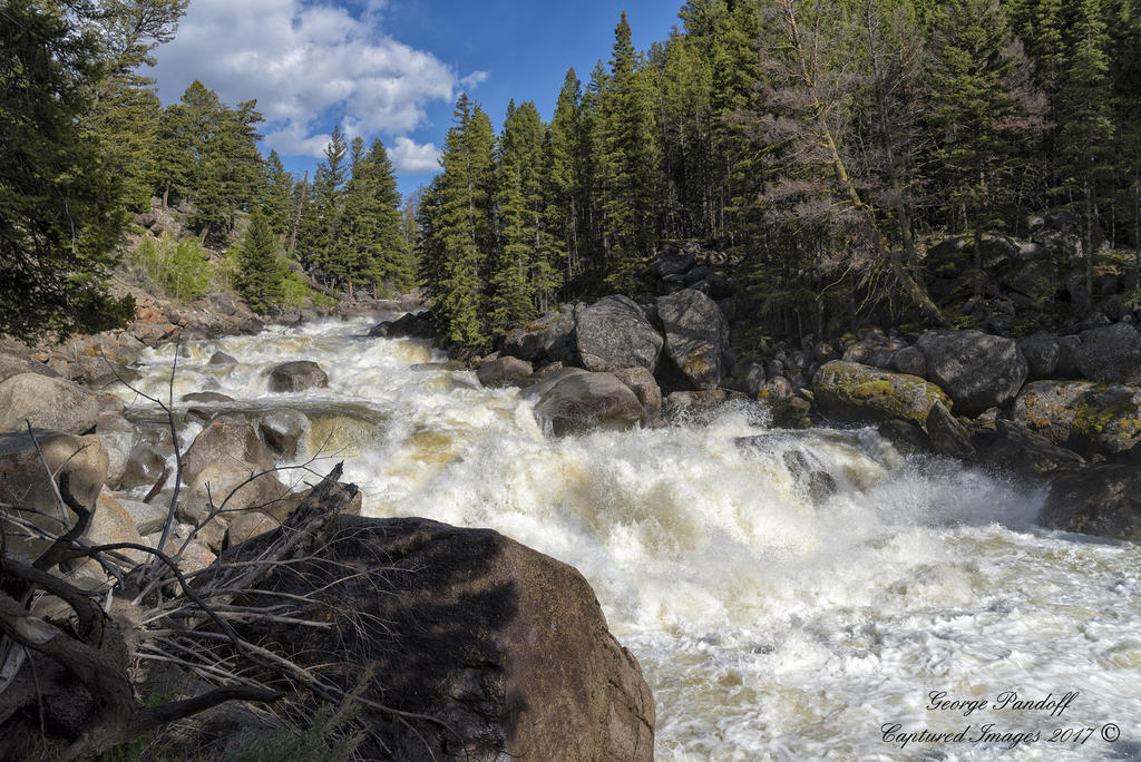 W_DSG_0998.jpg