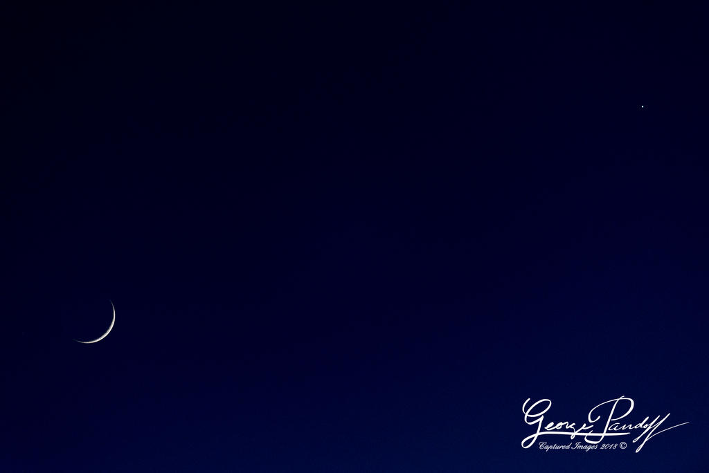 W_DSG_7254.jpg