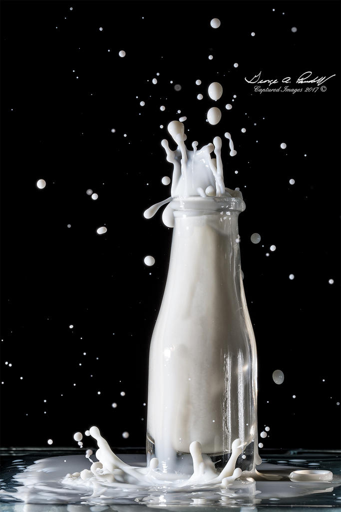 W_MilkBottle_Final.jpg