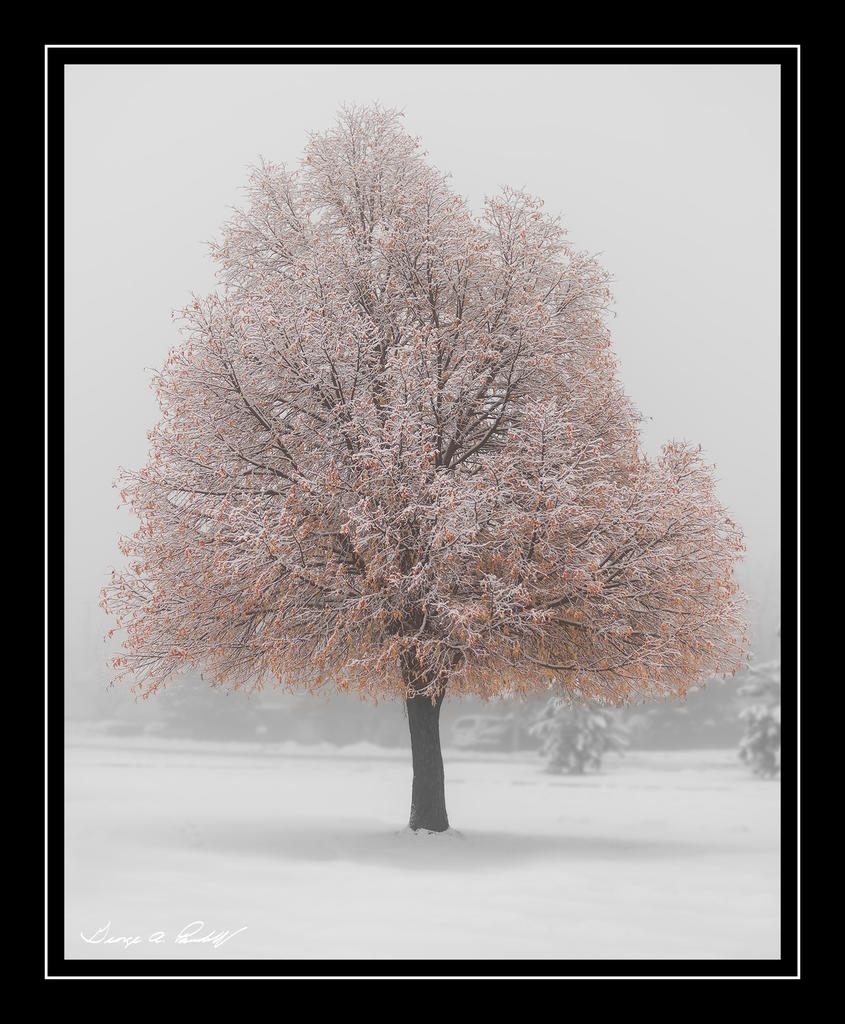 W_P_DSC_1070.jpg