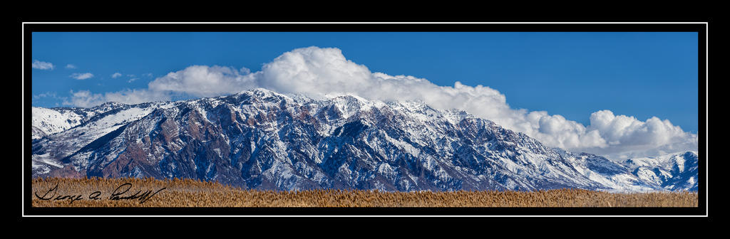 W_Untitled_Panorama1.jpg